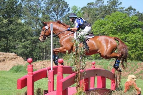 Michele Mueller Eventer